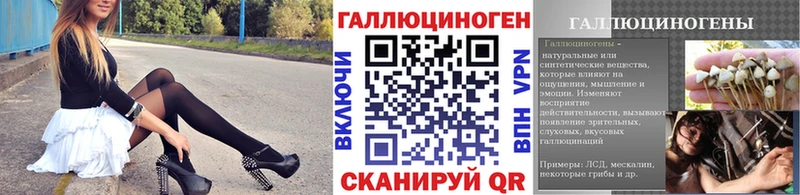 купить закладку Абдулино Галлюциногенные грибы GOLDEN TEACHER